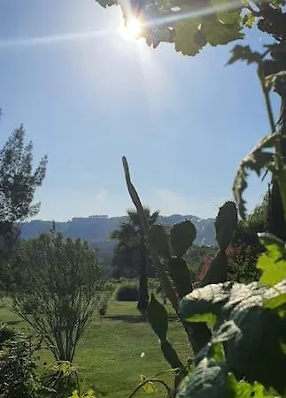 Quinta Flores * Ferreira do Zêzere