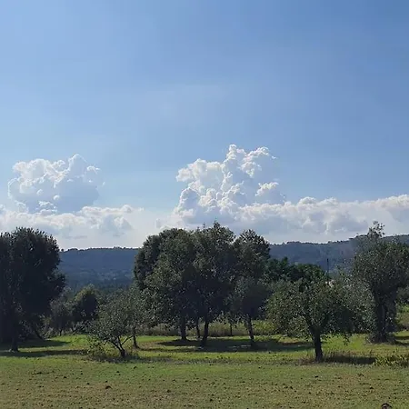 Lägenhet Quinta Flores