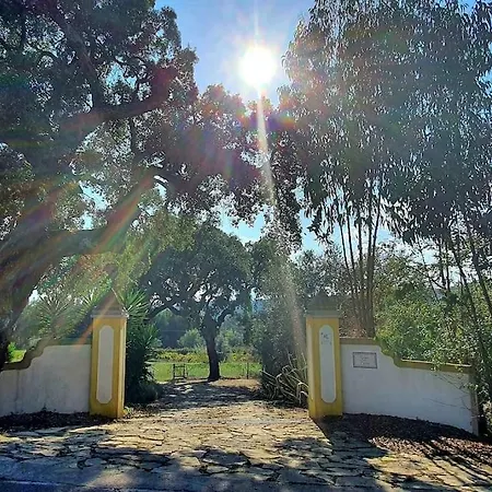 Quinta Flores