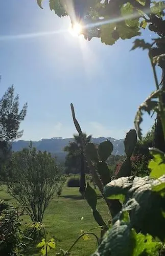 Quinta Flores * Ferreira do Zêzere