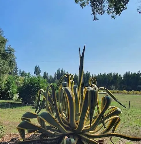 Quinta Flores Appartamento Ferreira do Zêzere