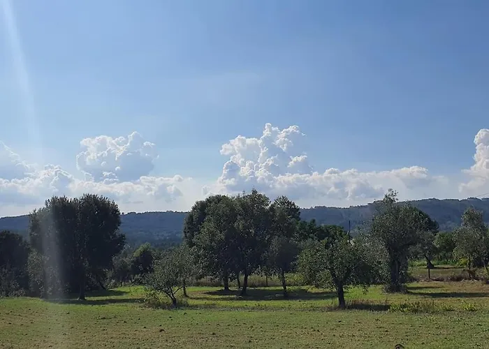 شقة Quinta Flores